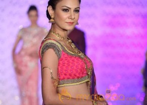 The Hindu Bridal Mantra 2014 Fashion week photos photo 56
