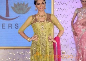 The Hindu Bridal Mantra 2014 Fashion week photos photo 89