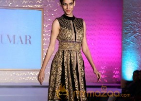 The Hindu Bridal Mantra 2014 Fashion week photos photo 41