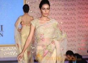 The Hindu Bridal Mantra 2014 Fashion week photos