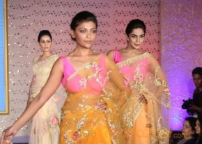 The Hindu Bridal Mantra 2014 Fashion week photos photo 16