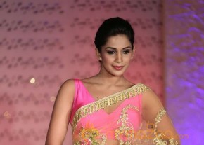 The Hindu Bridal Mantra 2014 Fashion week photos photo 44