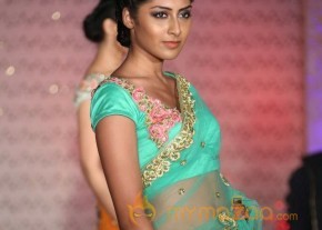 The Hindu Bridal Mantra 2014 Fashion week photos photo 60