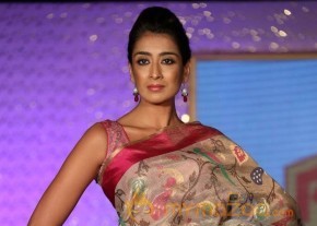 The Hindu Bridal Mantra 2014 Fashion week photos photo 13