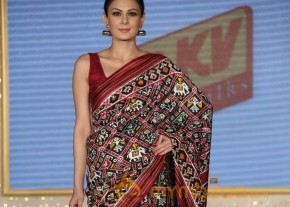 The Hindu Bridal Mantra 2014 Fashion week photos photo 73