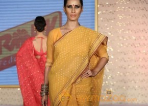 The Hindu Bridal Mantra 2014 Fashion week photos photo 47