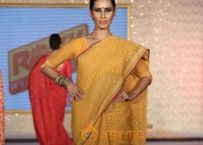 The Hindu Bridal Mantra 2014 Fashion week photos photo 6
