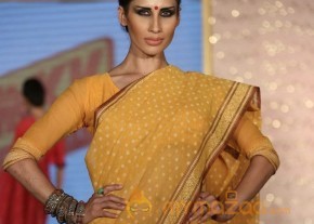 The Hindu Bridal Mantra 2014 Fashion week photos photo 83