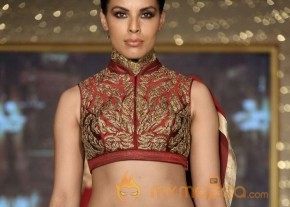 The Hindu Bridal Mantra 2014 Photos photo 83