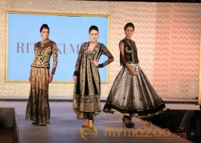 The Hindu Bridal Mantra 2014 Photos photo 67