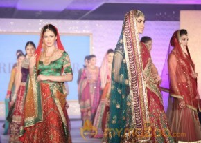 The Hindu Bridal Mantra 2014 Photos photo 14