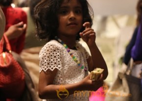 Wild Garden Tea Party Fashion Show Photos photo 3
