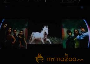 Yash Raj's Serial Launch  photo 19