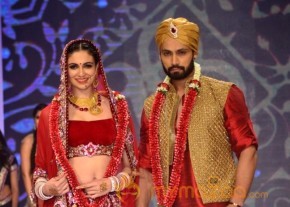 Zareen Khan at Iigj At Iijw 2014 photo 16