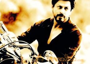 Dilwale Movie latest photos photo 4