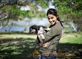 Go Goa Gone Movie Stills  photo 7