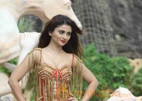 Welcome Back Movie Song Stills  photo 16