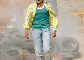 Kannada Actor Dharshan Photo Gallery photo 9