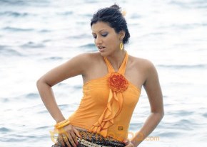Hottest Hamsa Nandini Photo Gallery photo 2