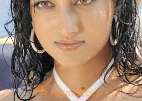 Hottest Hamsa Nandini Photo Gallery photo 5