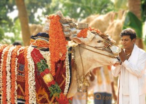 Devaru Kotta Thangi 2009 Movie Stills photo 8