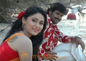 Sanchari Movie Stills photo 5