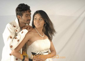 Yogi Movie Stiils photo 8