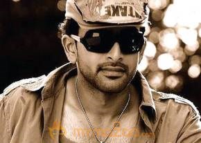 Cute and Smart Prithivi Raj Photo Gallery photo 7