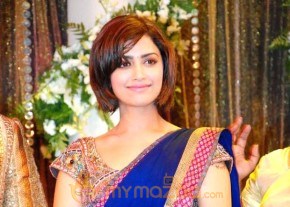 Prithviraj Supriya Menon Wedding Reception
