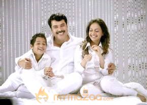 Daddy Cool Movie Stills photo 7