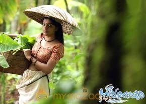 Neelathaamara Movie Stills photo 11