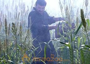 Winter Movie Stills