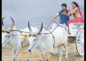 Vijay Stills photo 16