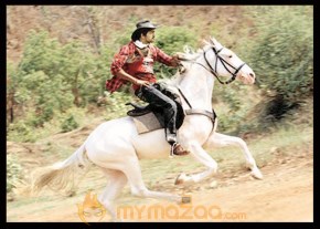 Vijay Stills photo 23