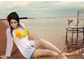 Actress Nisha Shetty Hot Stills photo 3