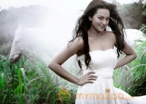 Actress Sonakshi Hot Stills photo 9