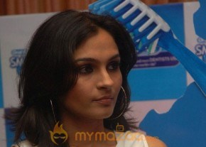 Andrea Stills photo 31