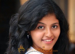 Anjali stills photo 21