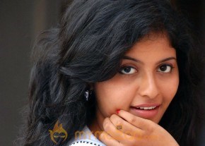 Anjali stills photo 31