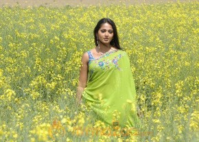 Anushka Latest Movie Photogallery photo 119