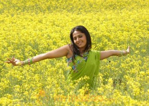 Anushka Latest Movie Photogallery photo 13