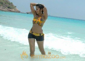 Anushka Latest Movie Photogallery photo 222