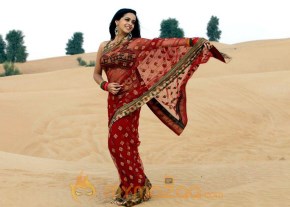 Bhavana Stills photo 16
