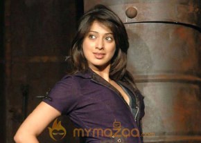Lakshmirai Stills photo 44