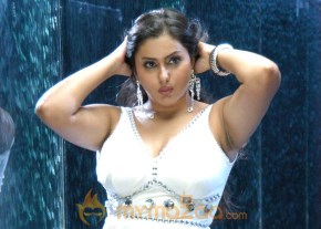 Hottest Namitha Photoshoot photo 629