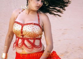Hottest Namitha Photoshoot photo 110