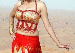 Hottest Namitha Photoshoot photo 151