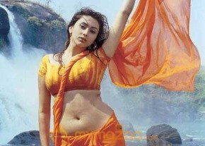 Hottest Namitha Photoshoot photo 320