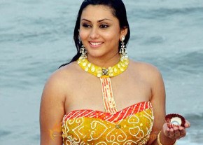 Hottest Namitha Photoshoot photo 558