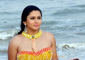 Hottest Namitha Photoshoot photo 409